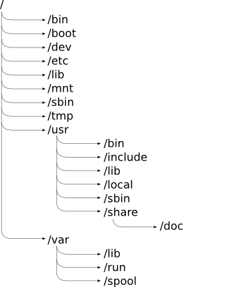 Стандартные каталоги в файловой системе UNIX